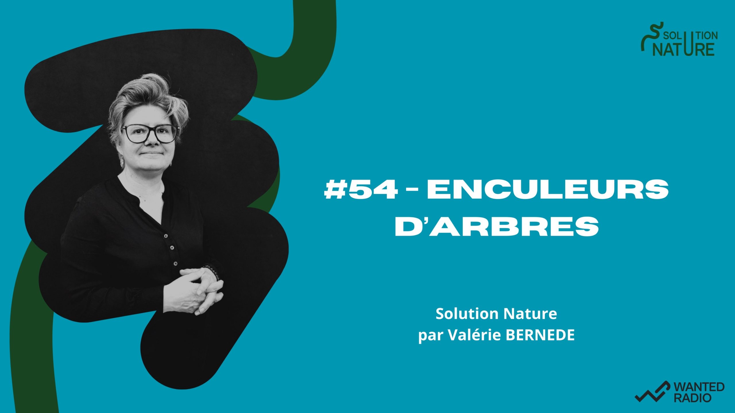 Arrière-plan