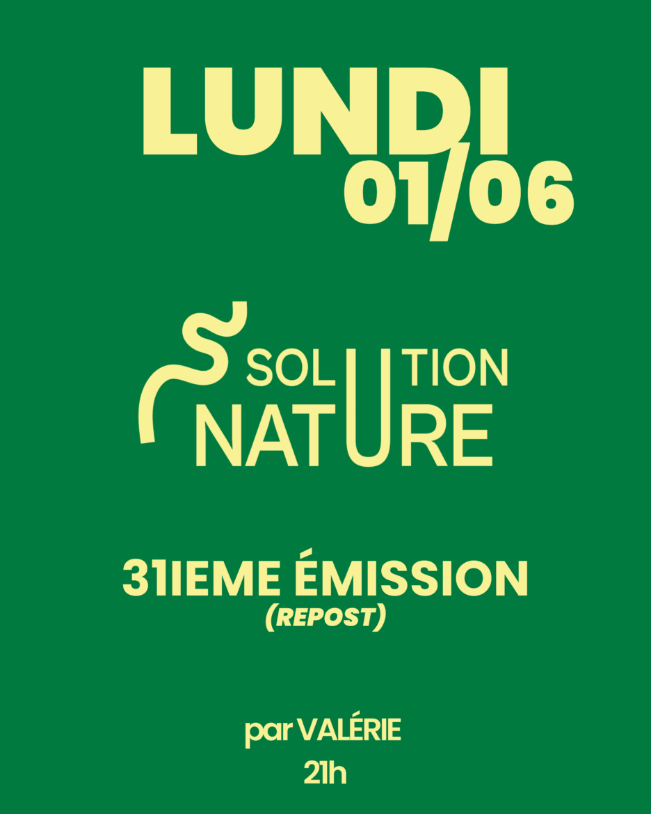 programme 0903 - 3